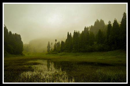 Gallery Image 24