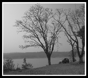 Gallery Image 43
